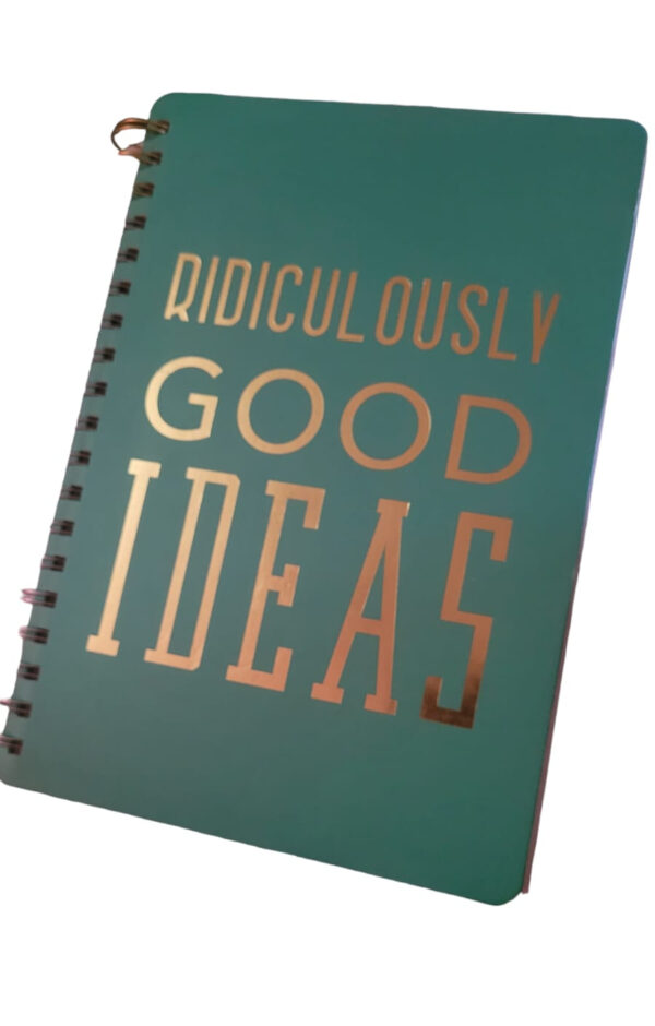 Ridiculously Good Ideas: Lined Journal/Notebook For Brilliant Thoughts And Ridiculously Good Ideas | Funny Gift