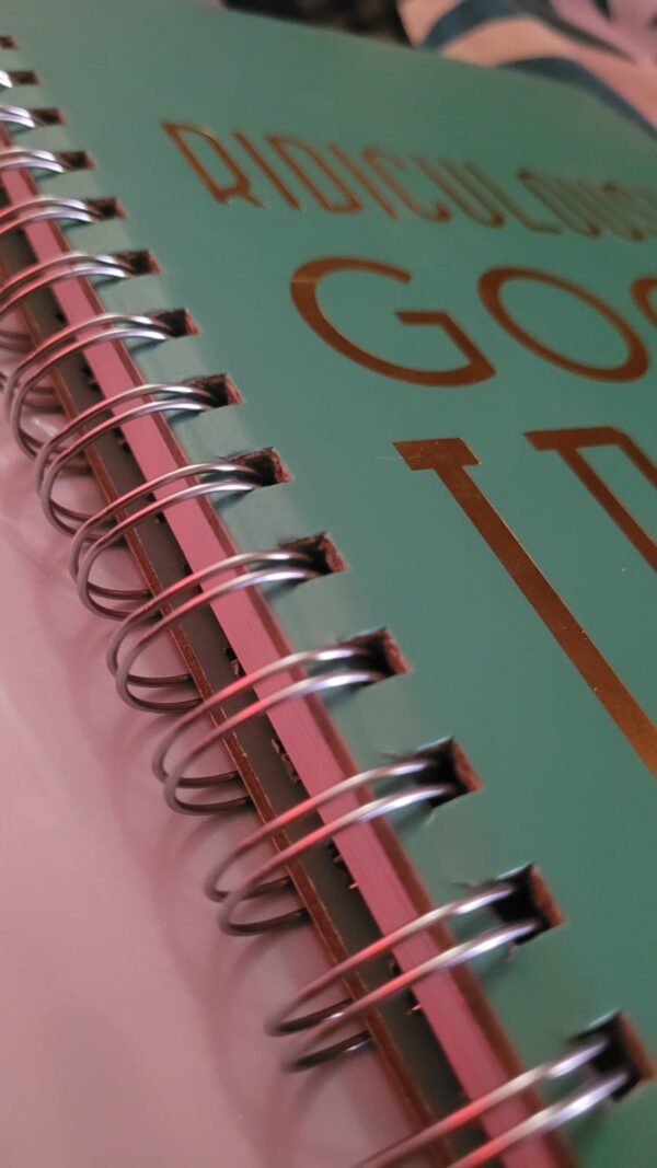 Ridiculously Good Ideas: Lined Journal/Notebook For Brilliant Thoughts And Ridiculously Good Ideas | Funny Gift - Image 2